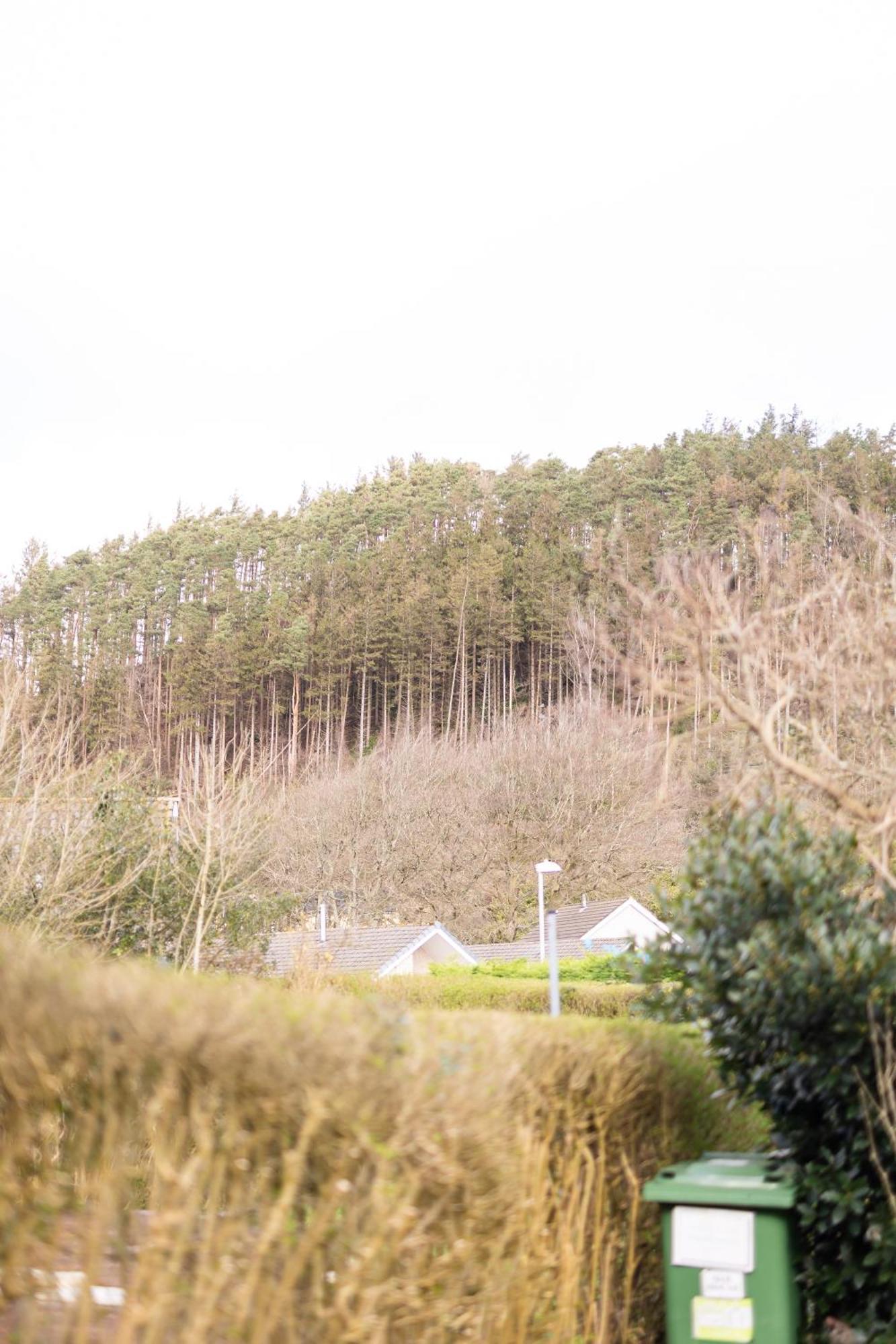 Oak House In Mid Wales With Log Burner By Seren Short Stays Machynlleth Ngoại thất bức ảnh